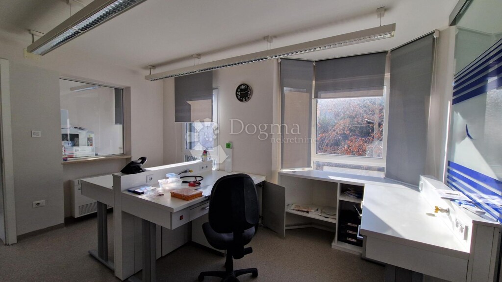 Image 6235265 - 9