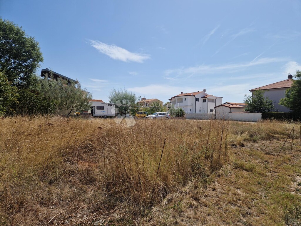 Image 6235269 - 2