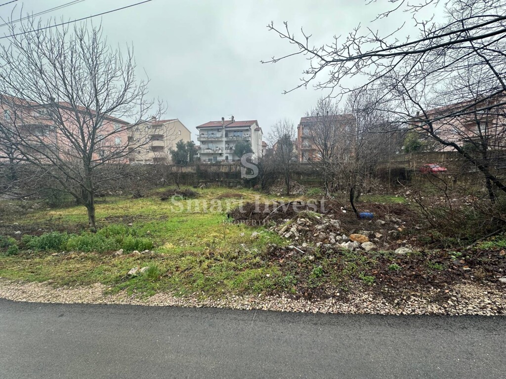 Image 6235340 - 1