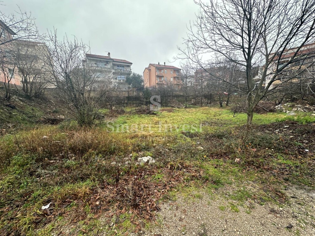 Image 6235340 - 4