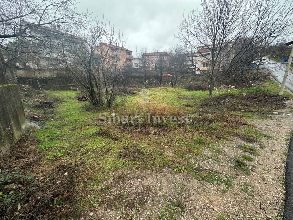 Image 6235340 - 5