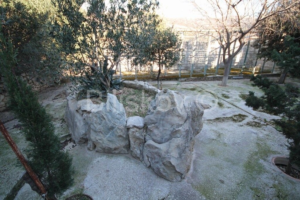 Image 6235352 - 5
