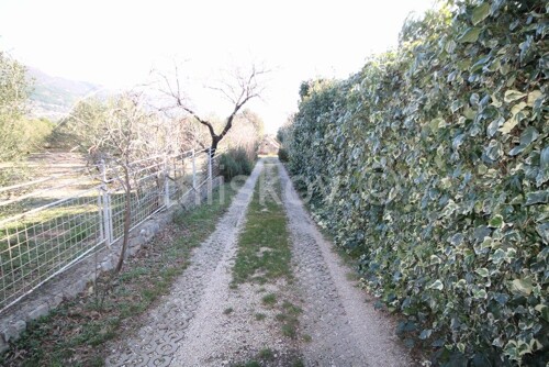 Thumbnail 6235352 - 6