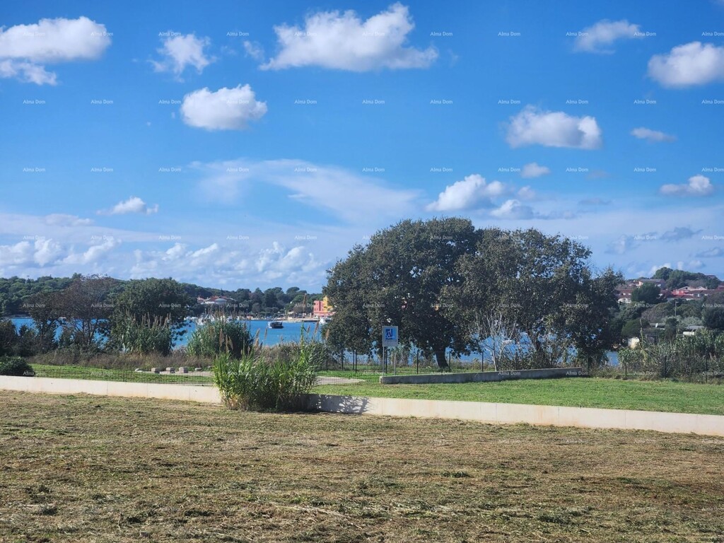Image 6235382 - 3