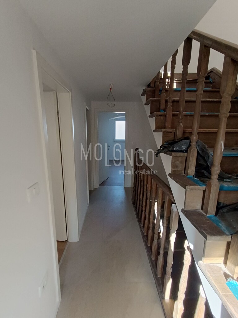 Image 6235399 - 4