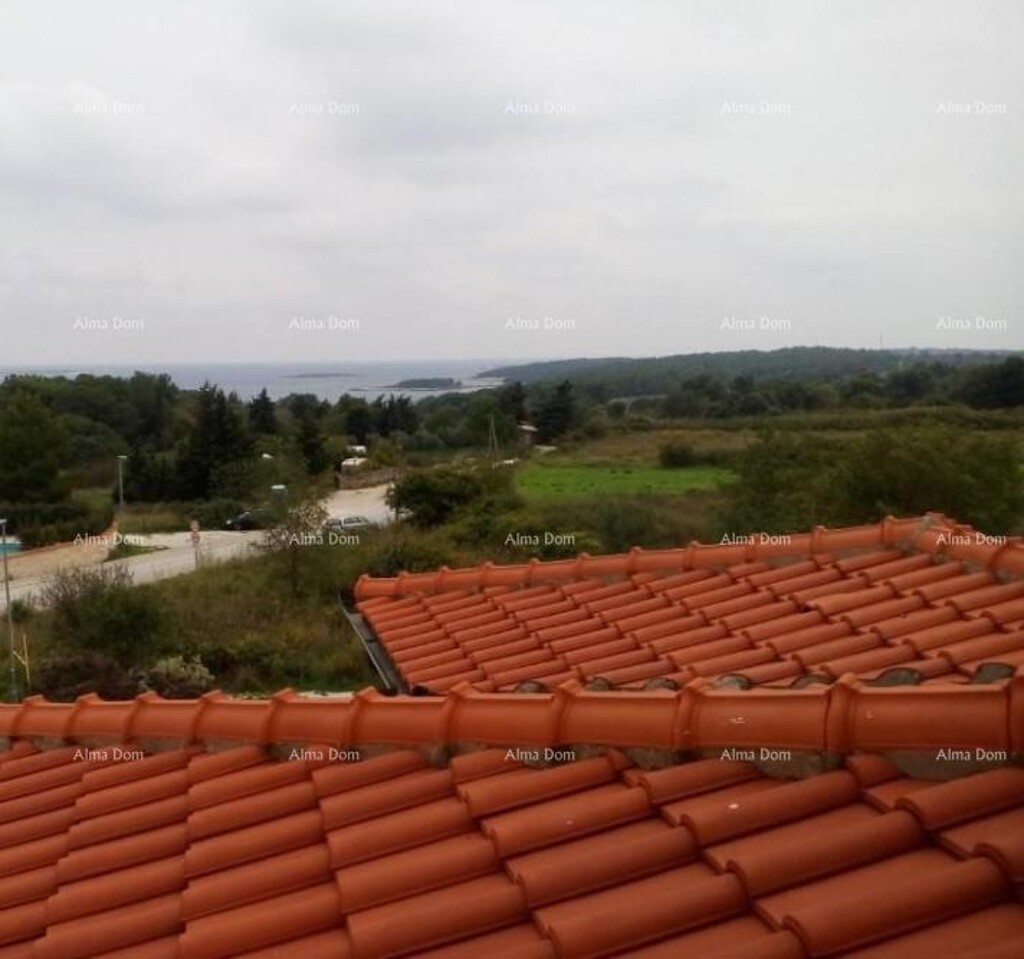 Image 6235401 - 25