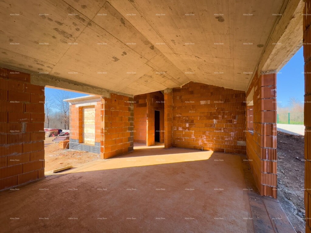Image 6235411 - 13