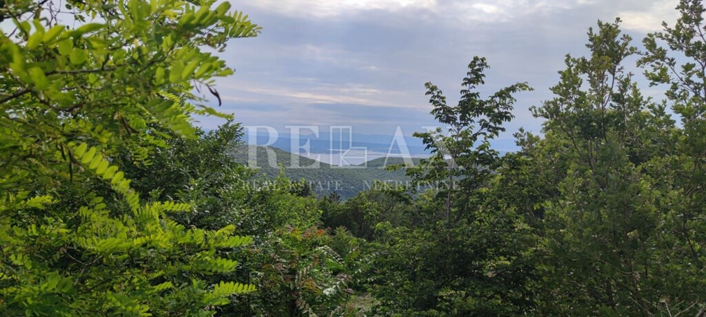 Image 6235454 - 1