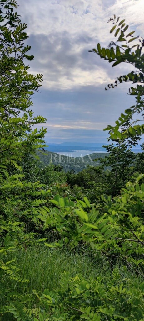 Image 6235454 - 7