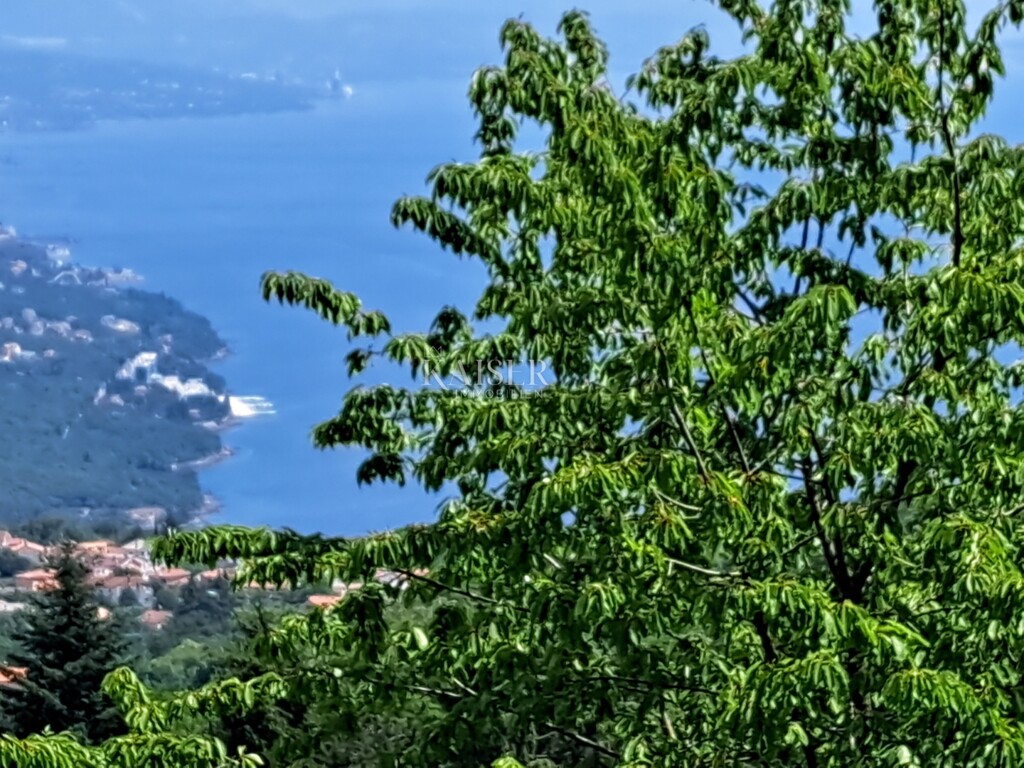 Image 6235503 - 2