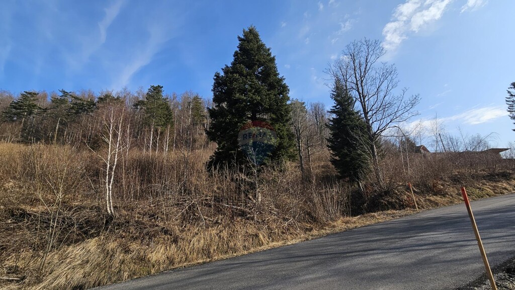Image 6235551 - 5