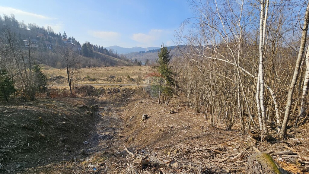 Image 6235551 - 3