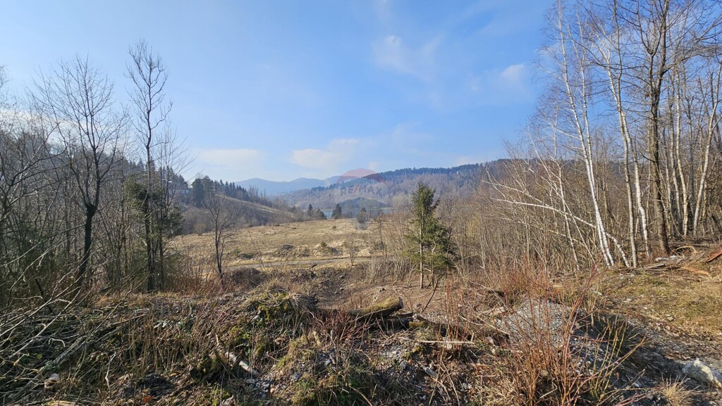 Image 6235551 - 6