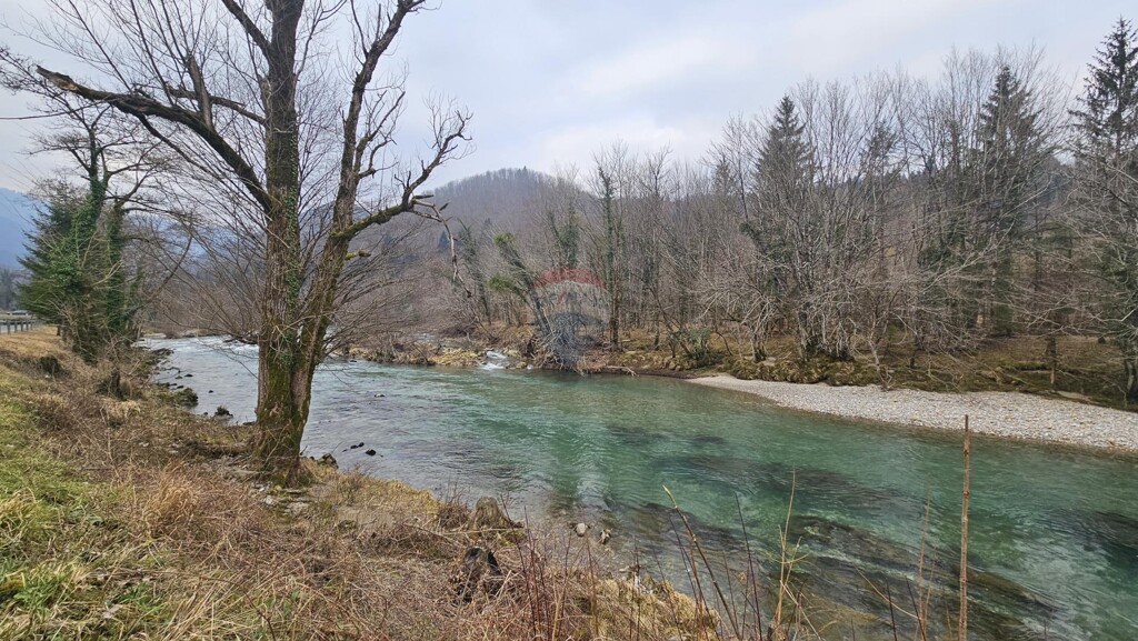 Image 6235556 - 2