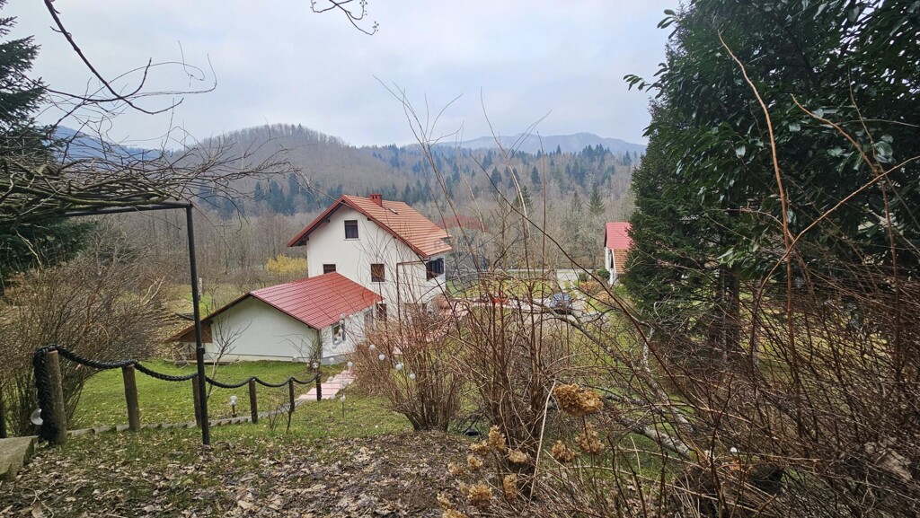 Image 6235556 - 1