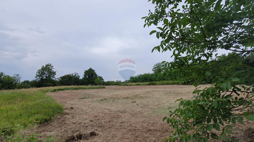 Image 6235571 - 6