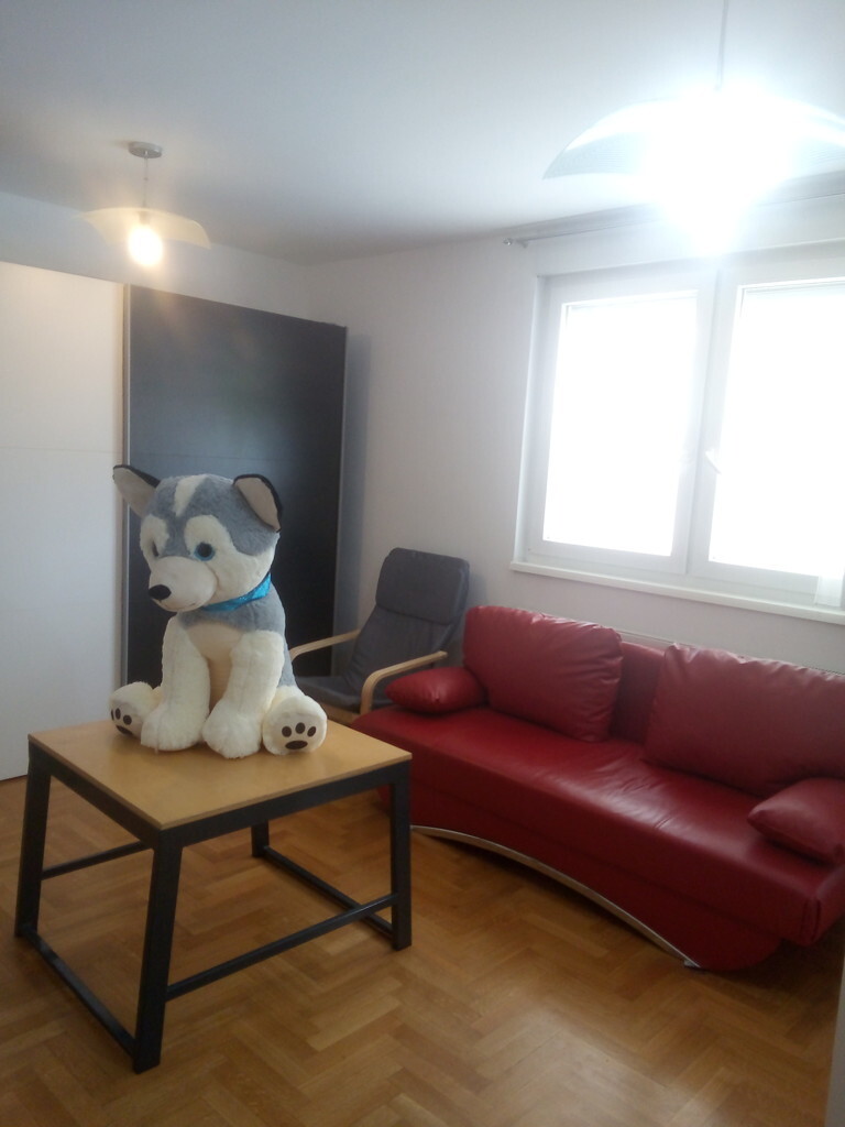 Image 6235574 - 1