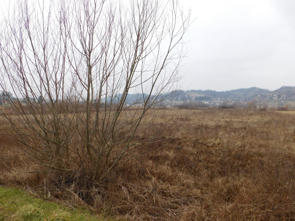 Image 6235678 - 6