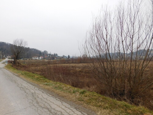 Thumbnail 6235678 - 4