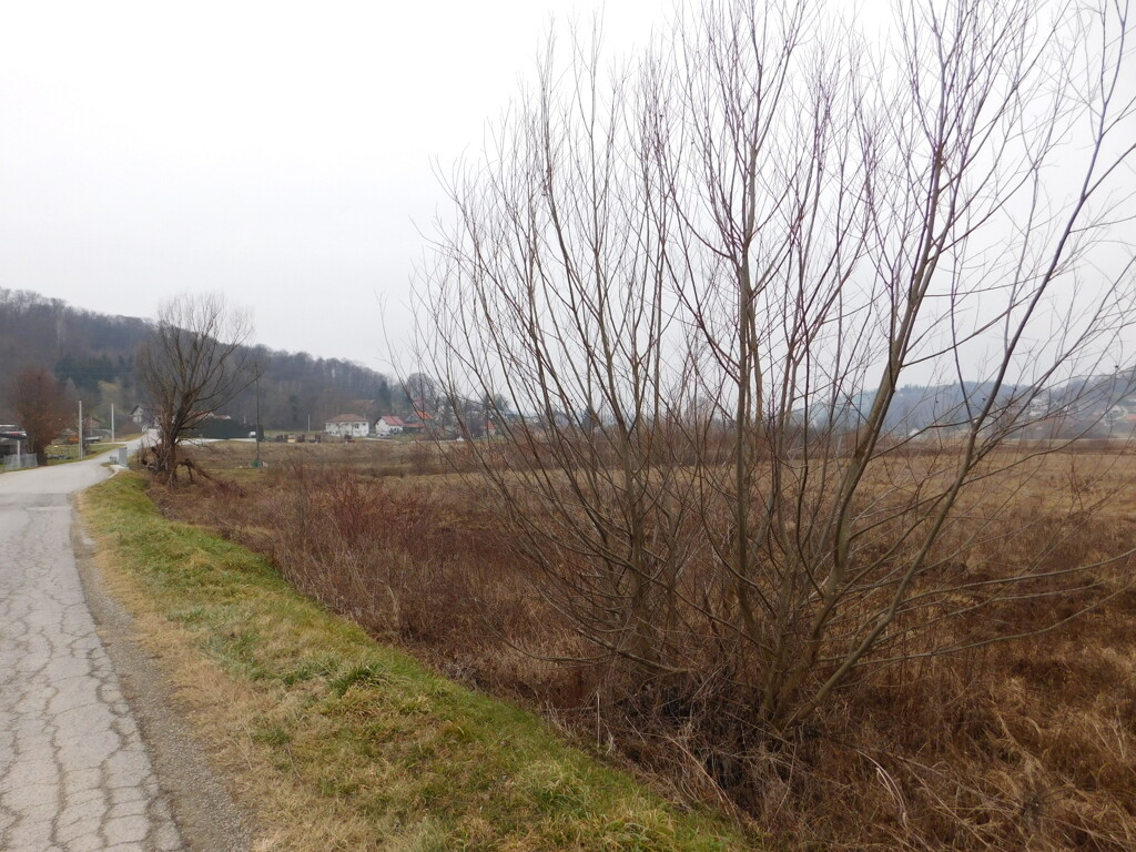 Image 6235678 - 5