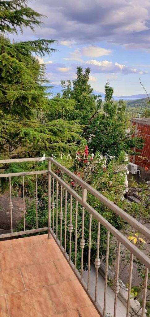 Image 6235942 - 9