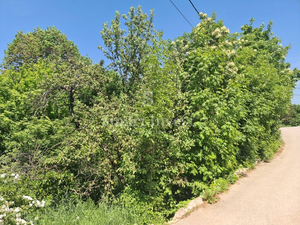 Image 6235990 - 1