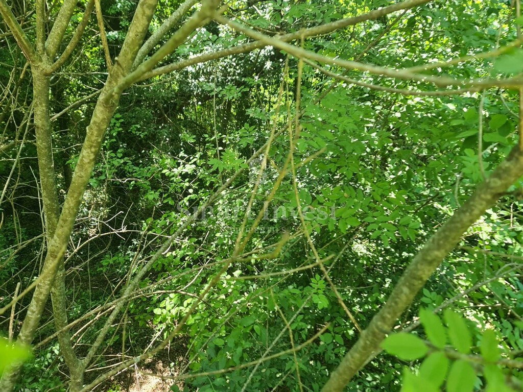 Image 6235990 - 2