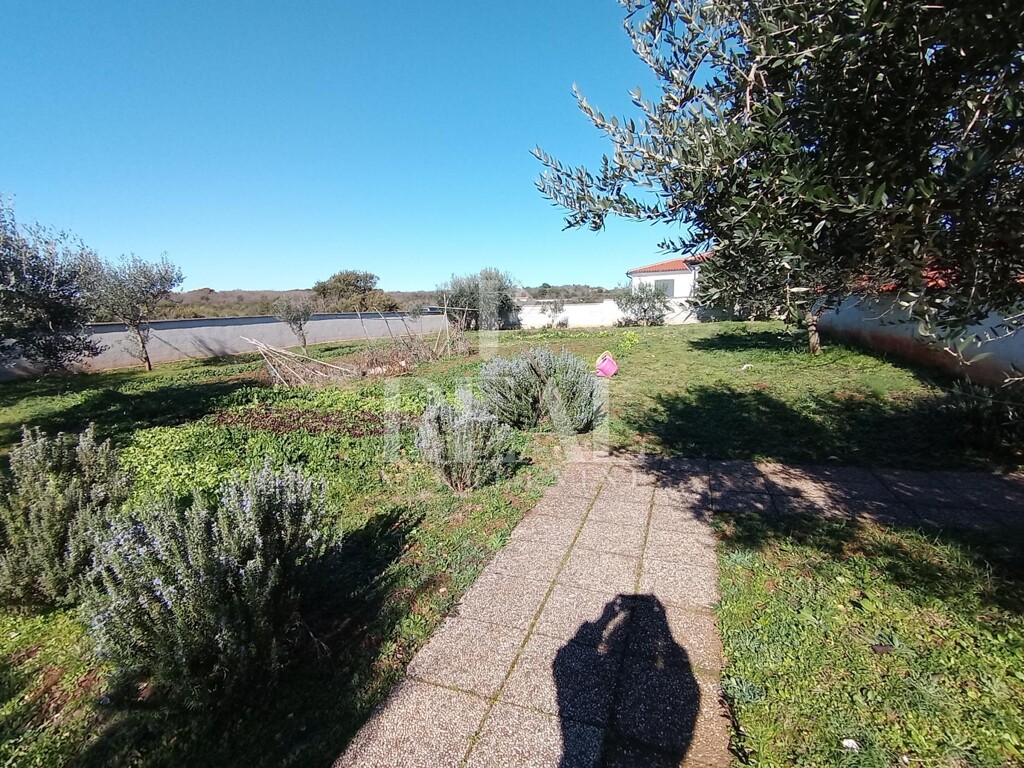 Image 6236013 - 1