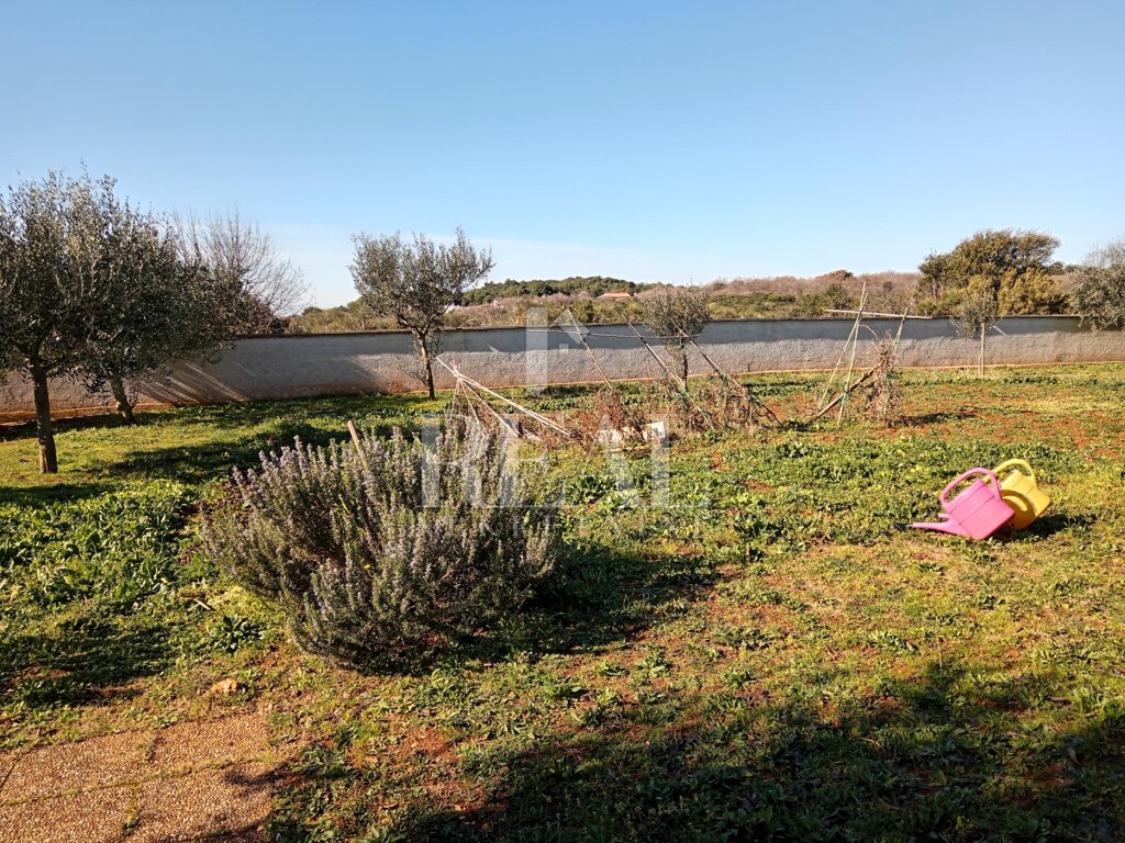 Image 6236013 - 5