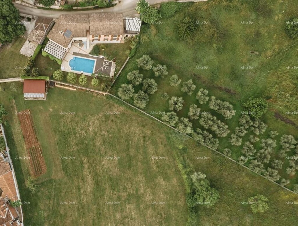 Image 6236015 - 6