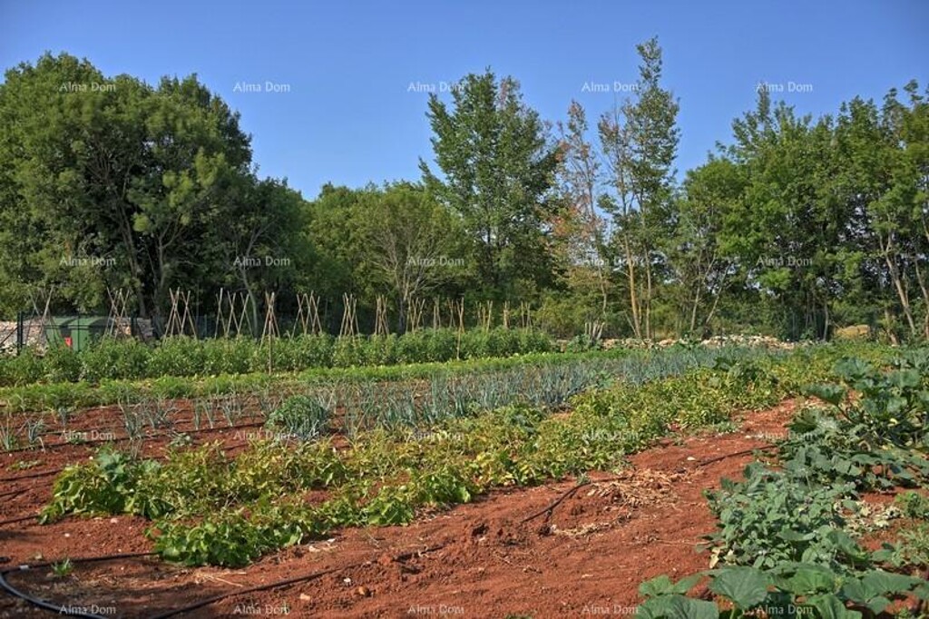 Image 6236017 - 27
