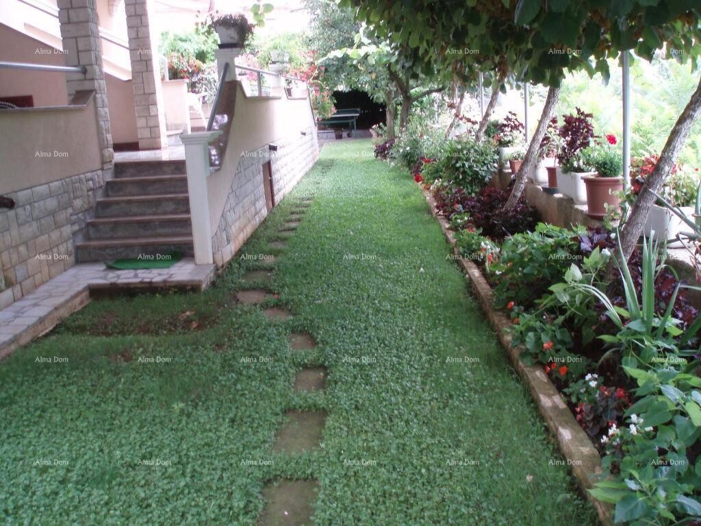 Image 6236021 - 4