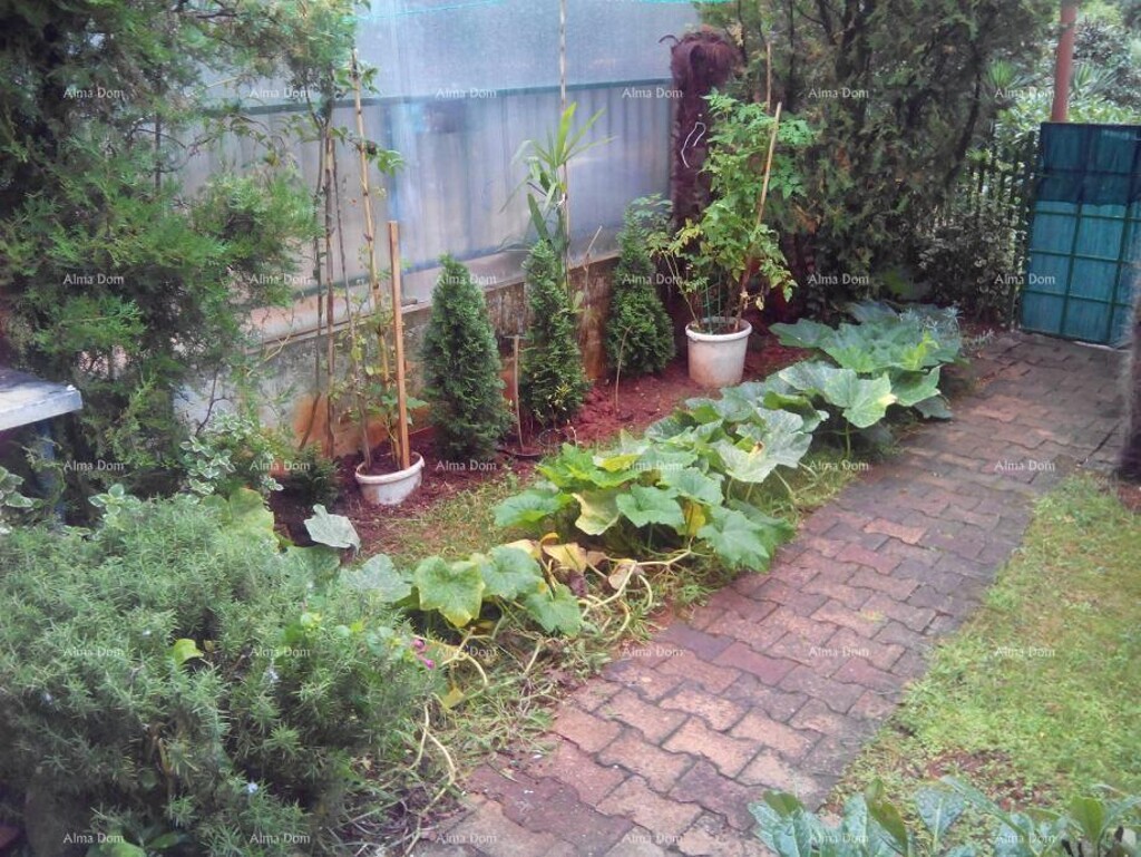Image 6236024 - 8