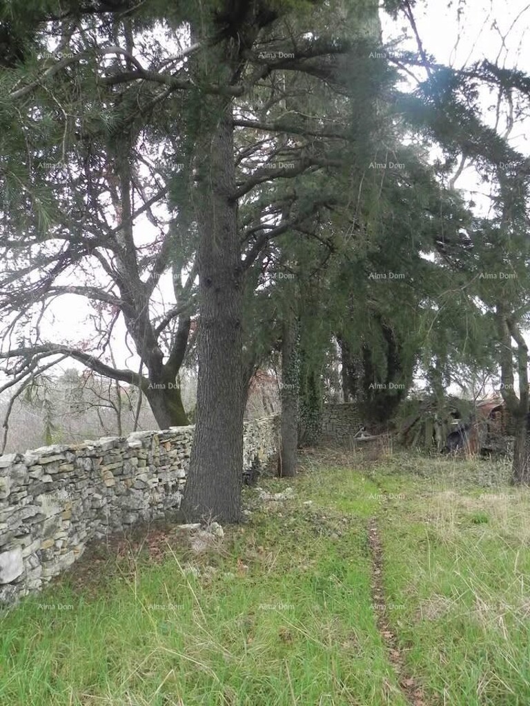 Image 6236026 - 3
