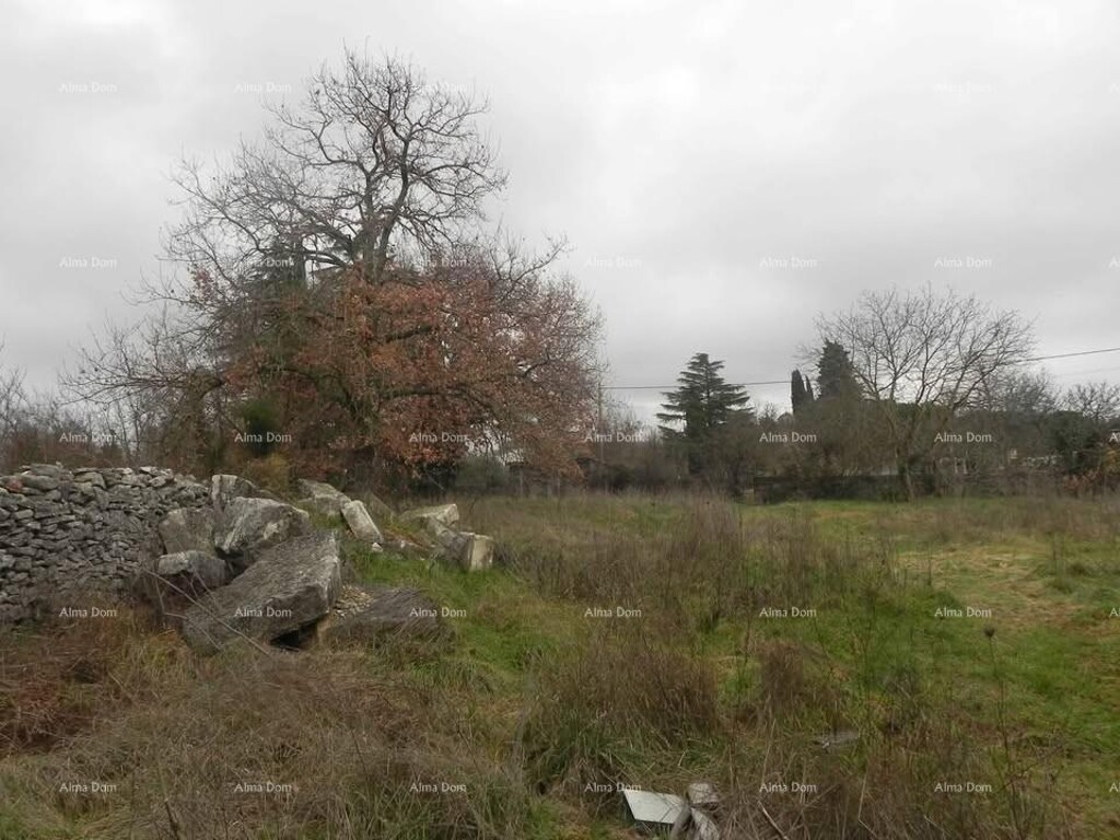Image 6236026 - 1