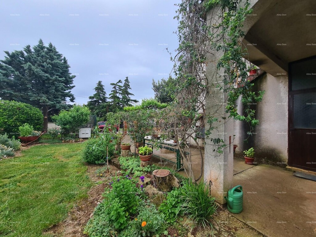 Image 6236039 - 3