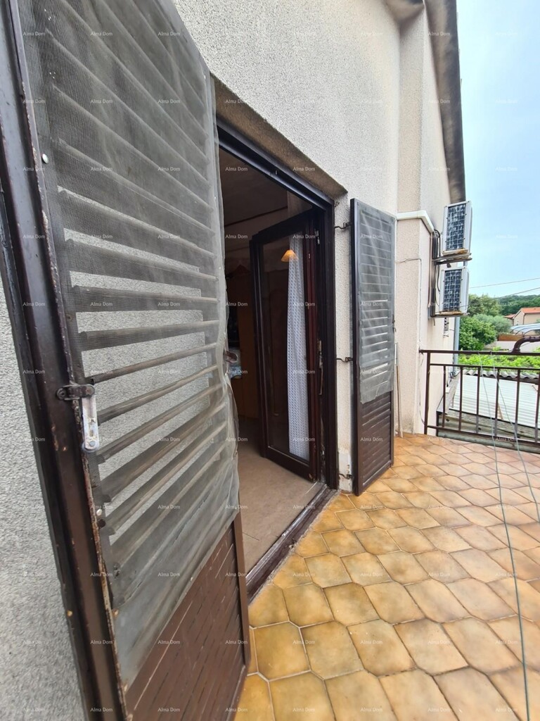 Image 6236039 - 1