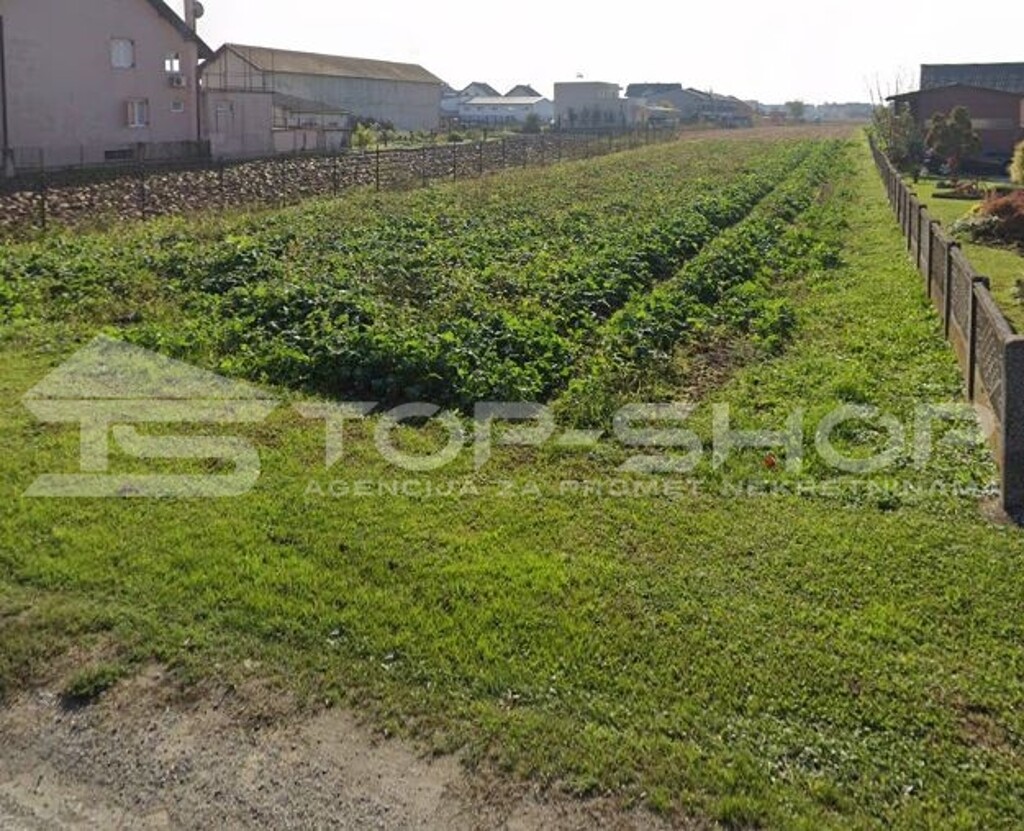 Image 6236077 - 1