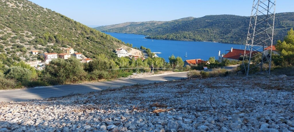 Image 6236084 - 1