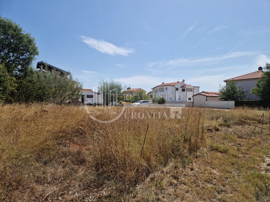 Image 6236087 - 1