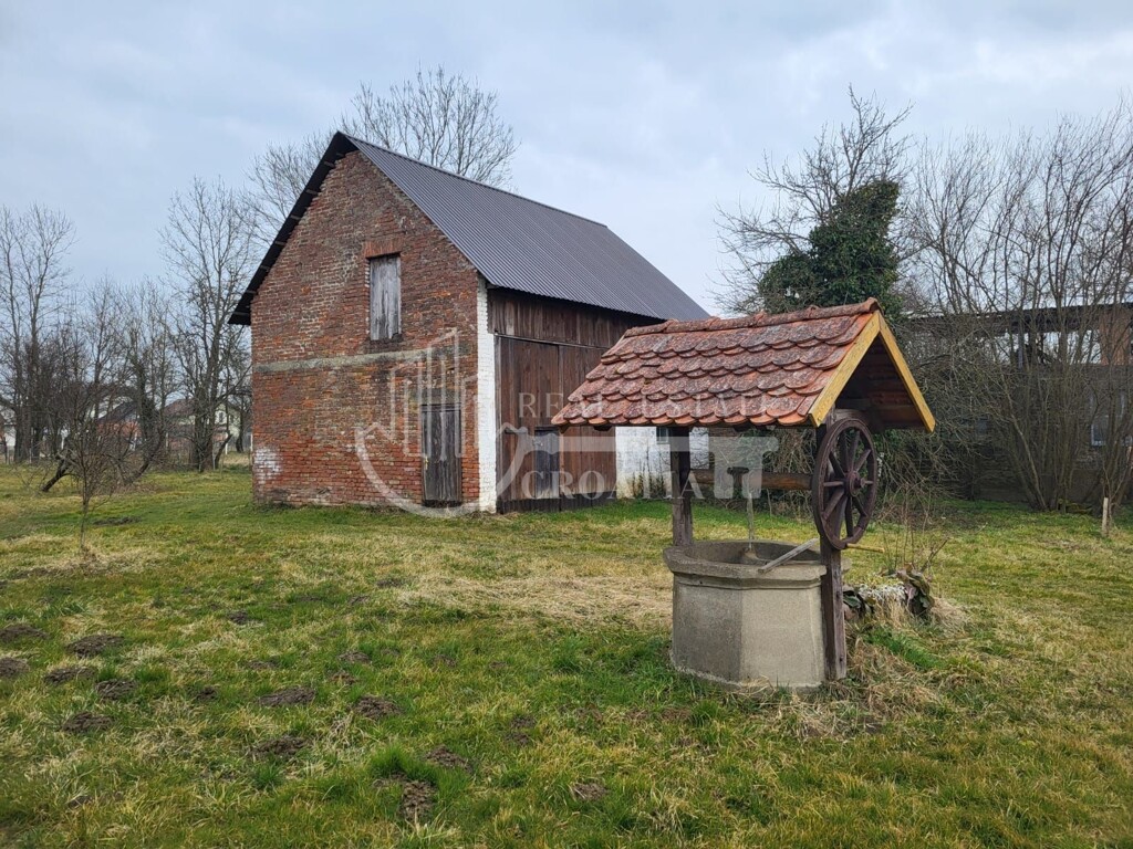 Image 6236088 - 1