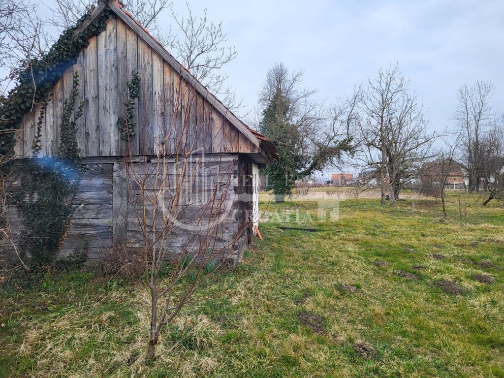 Image 6236088 - 10