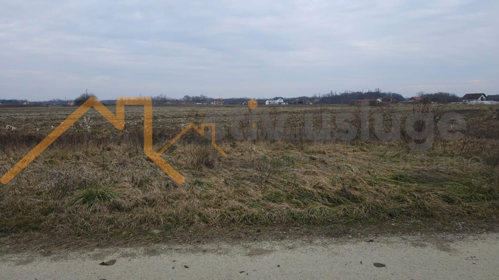Image 6236089 - 2