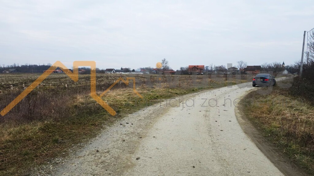 Image 6236089 - 1