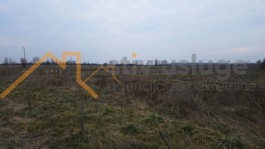 Image 6236090 - 1