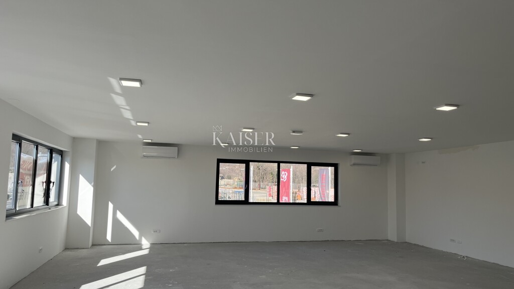 Image 6236110 - 2