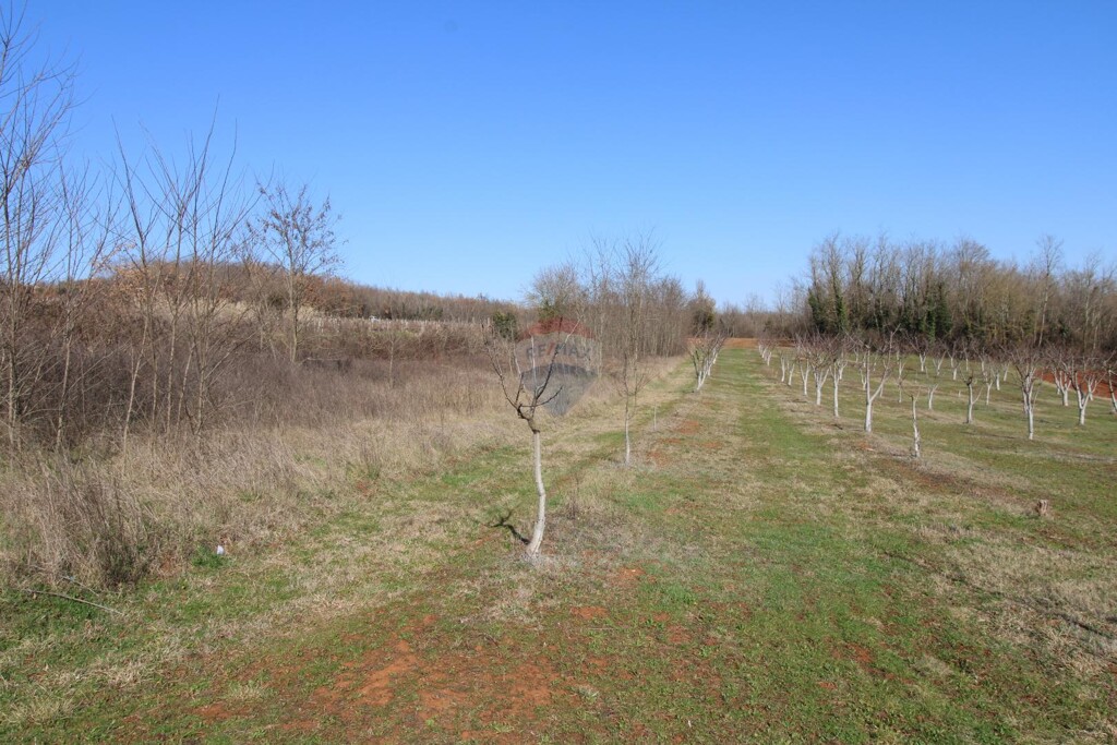 Image 6236150 - 3
