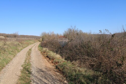Thumbnail 6236150 - 5