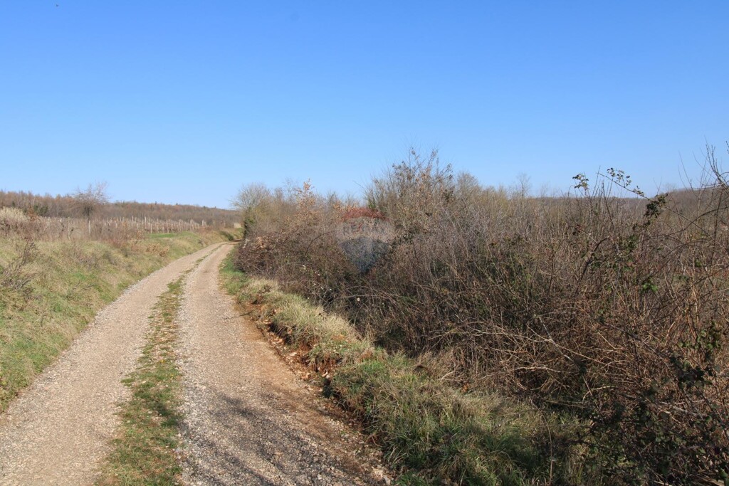 Image 6236150 - 5