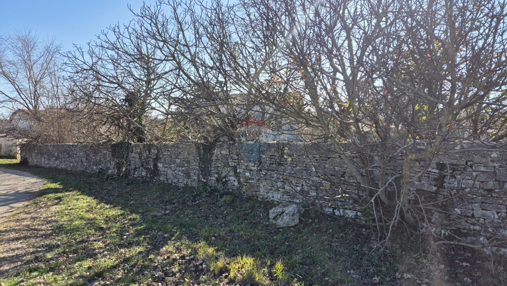 Image 6236154 - 4